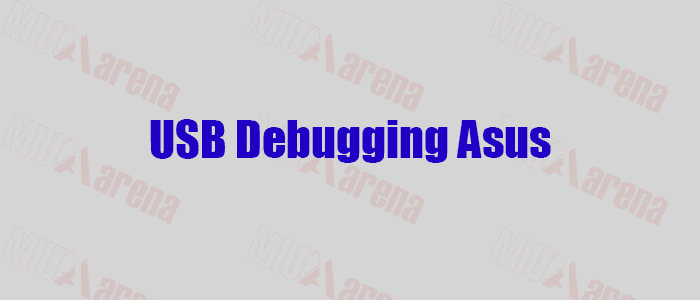 Cara Mengaktifkan USB Debugging Hp Asus (Semua Tipe) Lengkap