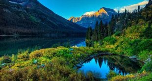 Download Times New Roman WPS: The Perfect Typeface for Your Documents