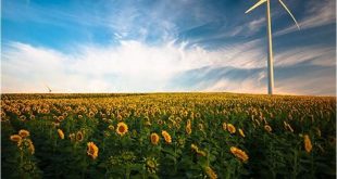 Cara Mengatasi Galeri yang Tidak Bisa Menampilkan Gambar