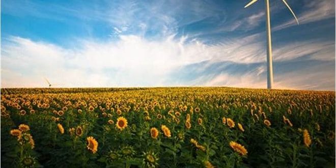 Cara Mengatasi Galeri yang Tidak Bisa Menampilkan Gambar